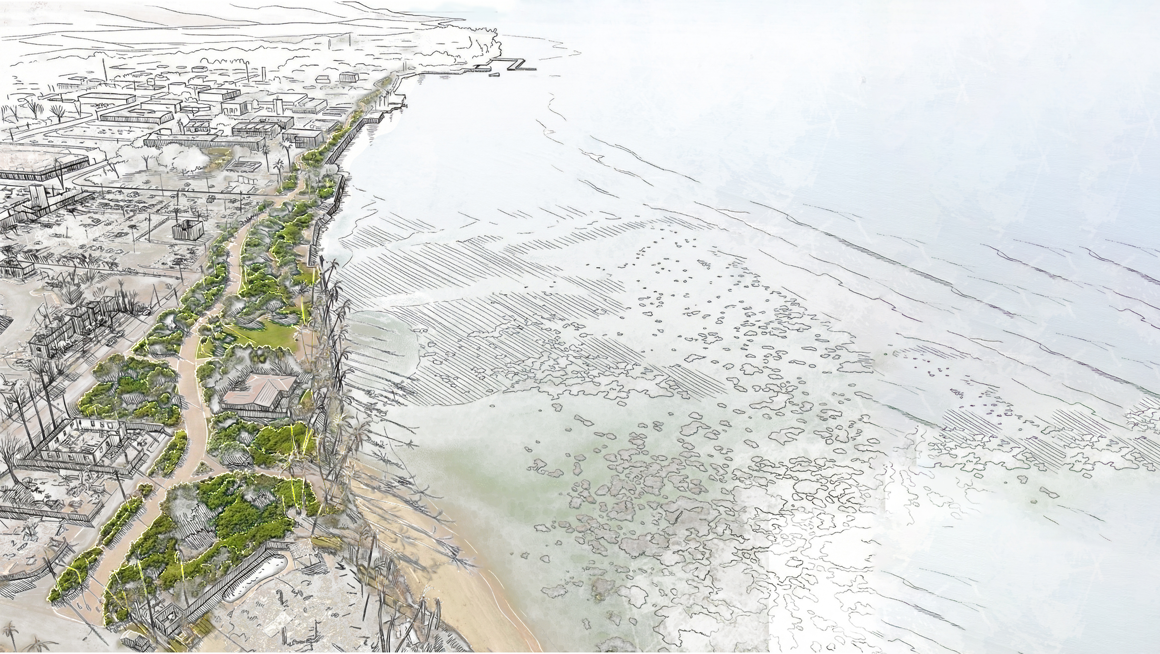 Aerial rendering of proposed Lahaina recovery showing coastal promenade, green infrastructure, and reef