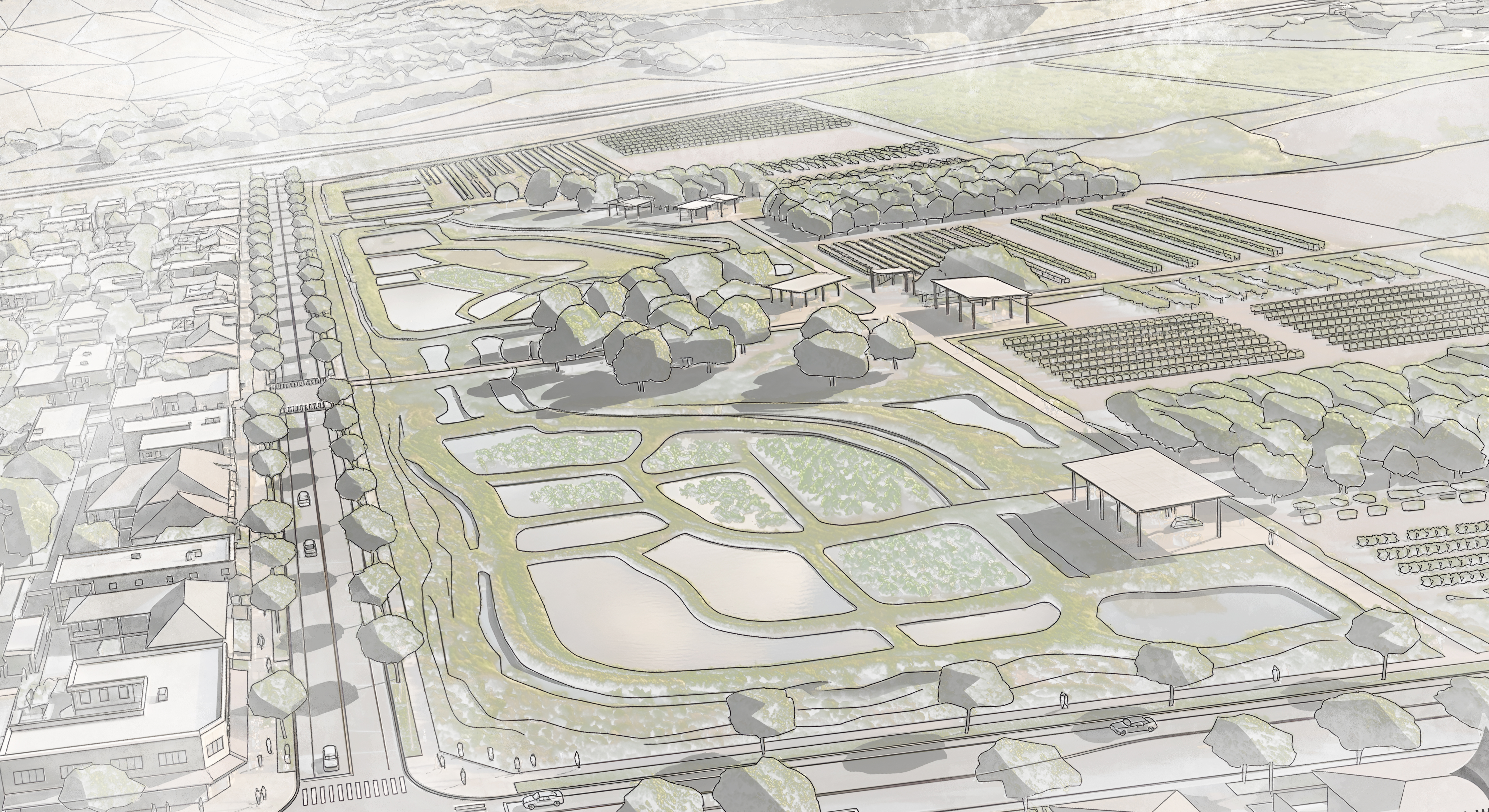 3D visualization of peri-urban agricultural buffer zone with water management and fire-resistant vegetation